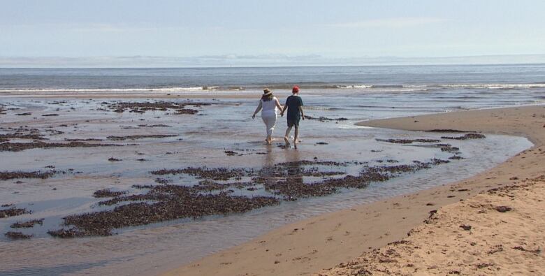 people on beach 