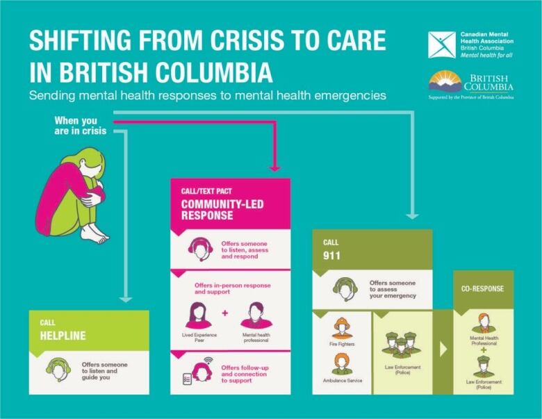 A B.C. government graphic explaining the Peer Assisted Care Team model.