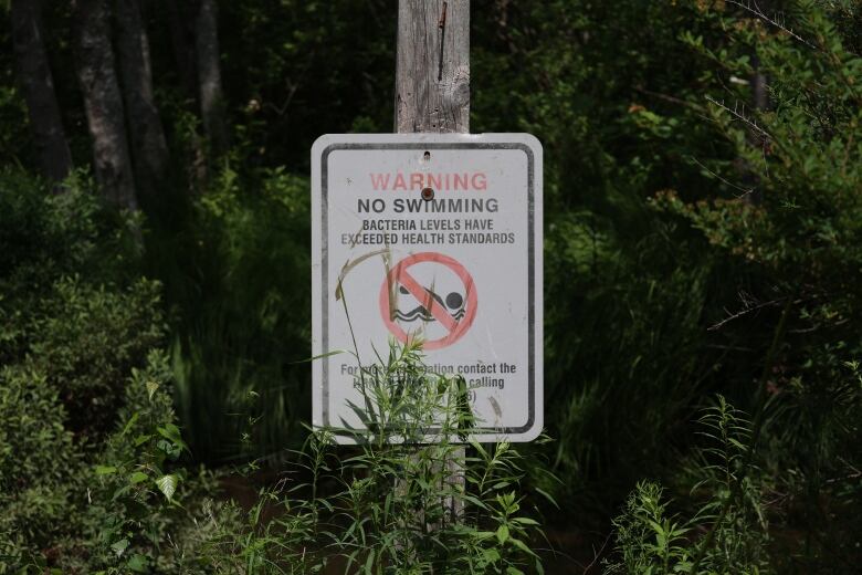 A sign next to trees.