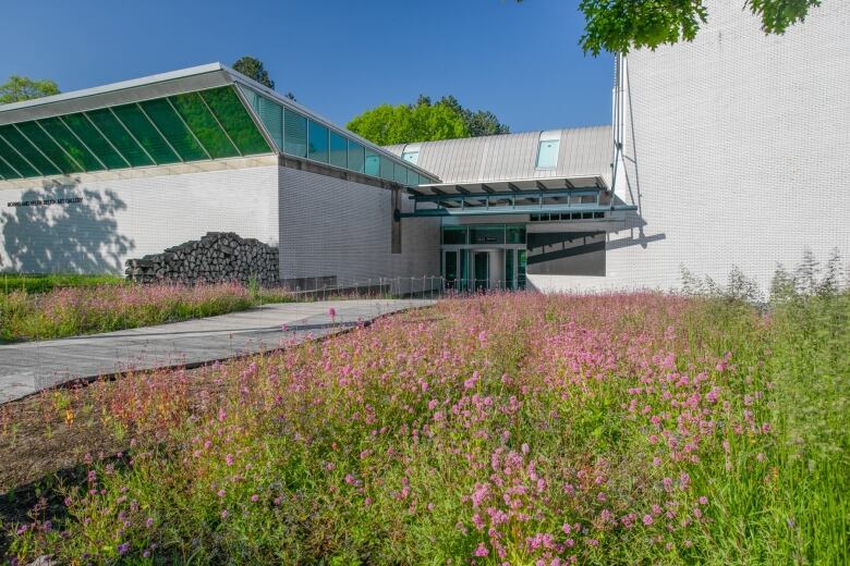 Pink wildflowers in a meadow in front of a building.