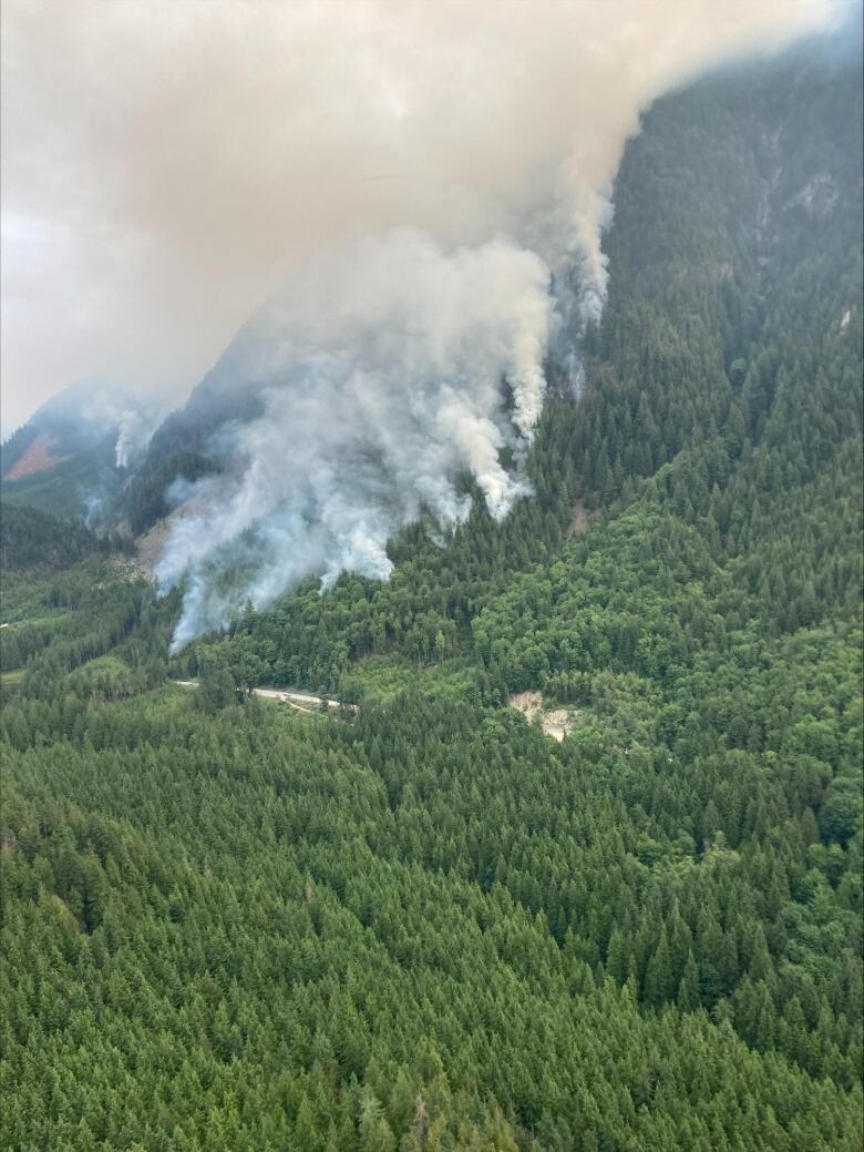 A wildfire burns on a forested mountainside.