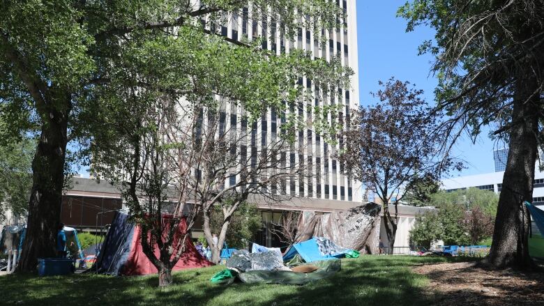 A colourful assortment of tents, sleeping bags and even a lean-to dot the grounds in front of Regina city hall. 