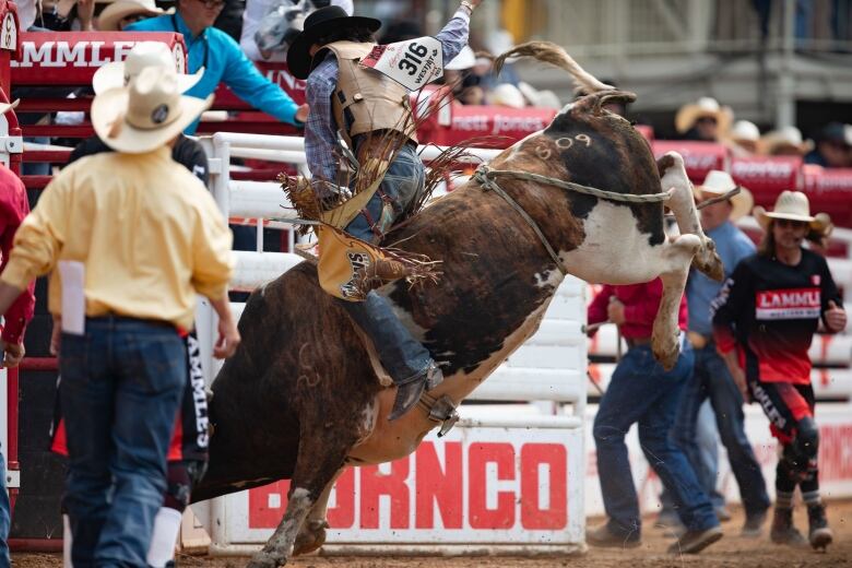 A man is pictured on a bull.