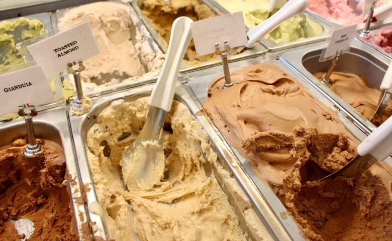 Rows of different coloured gelato in metal pans. Two flavour signs that can be read say 'giandula' and 'toated almond.'