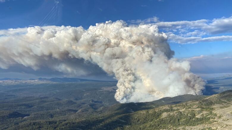 A thick plume of smoke rises from rocky and forested backcountry terrain.