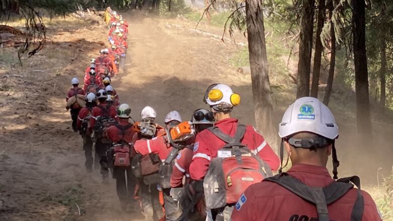 A line of forest firefighters walks through the forest on a dirt path carrying equipment