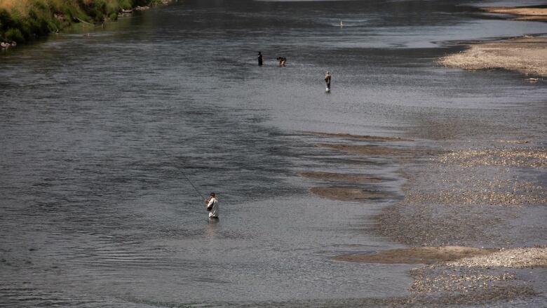 People fish in the middle of a shallow river.