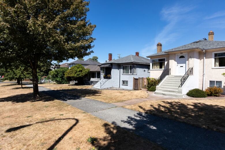 A row of residential houses with lawns of dry, brown grass.