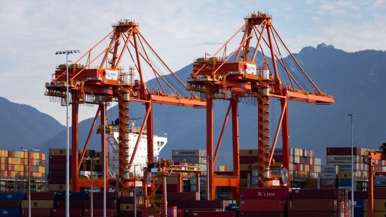 Cranes with shipping containers below.