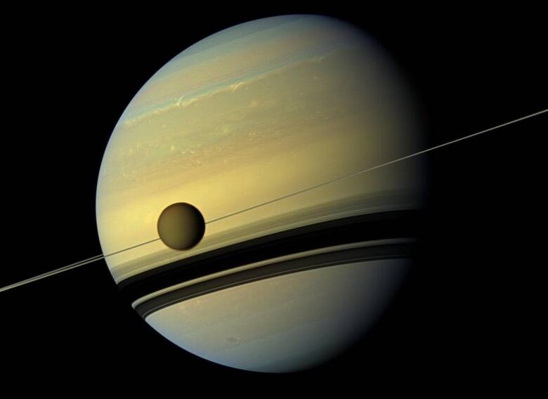 Saturn is yellow with brown stripes. Rings surround it with a small moon in the front in front of the planet.