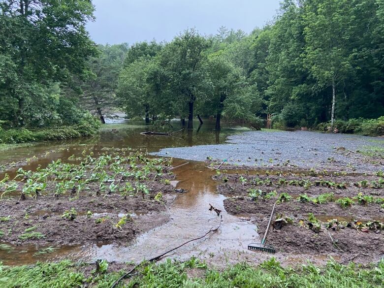 A flooded field with crops is shown.