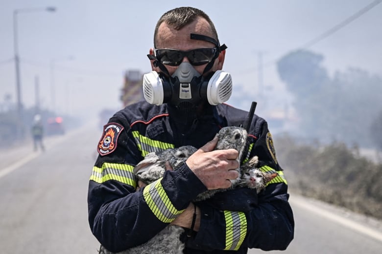 A man wearing sunglasses and a respirator mask uses both arms to hold two bunnies and a cat close while standing on a smoky street.