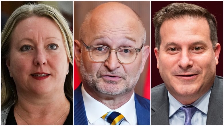 Headshots of a woman and two men who are Liberal MPs.