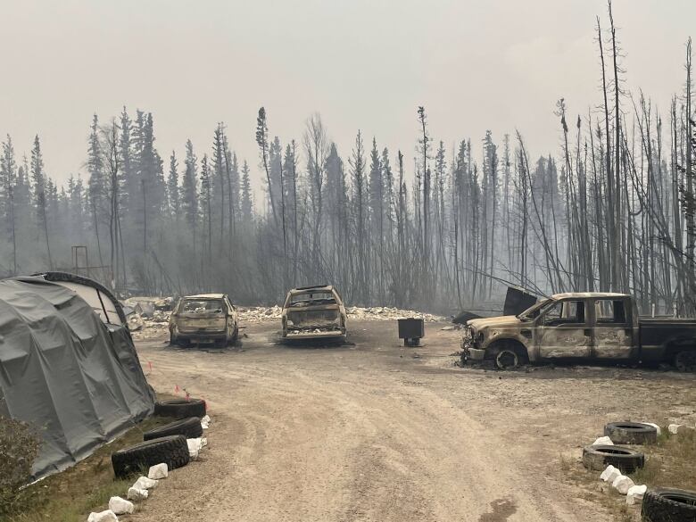 Burned vehicles sit amid smoking trees.