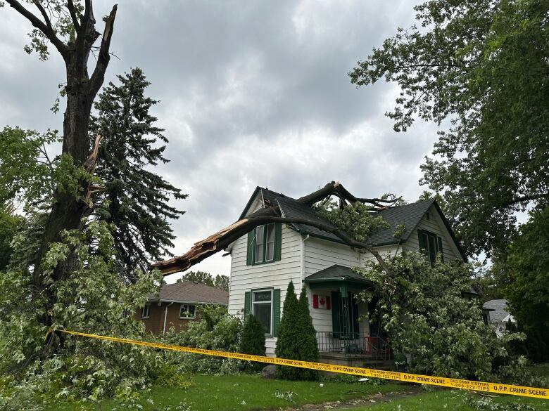 A green and white home with damage on the corner from a large tree lying across the home. 