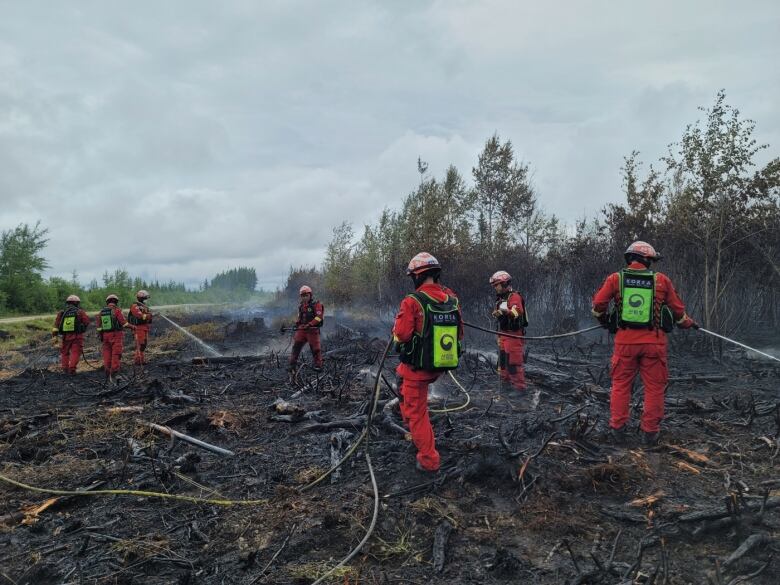 Korean firefighters stand over charred land near Lebel-sur-Quvillon, in the northern Quebec, extinguishing the smoldering ground.