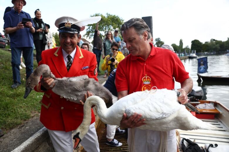 Two people hold a cygnet and swan alongside a river.