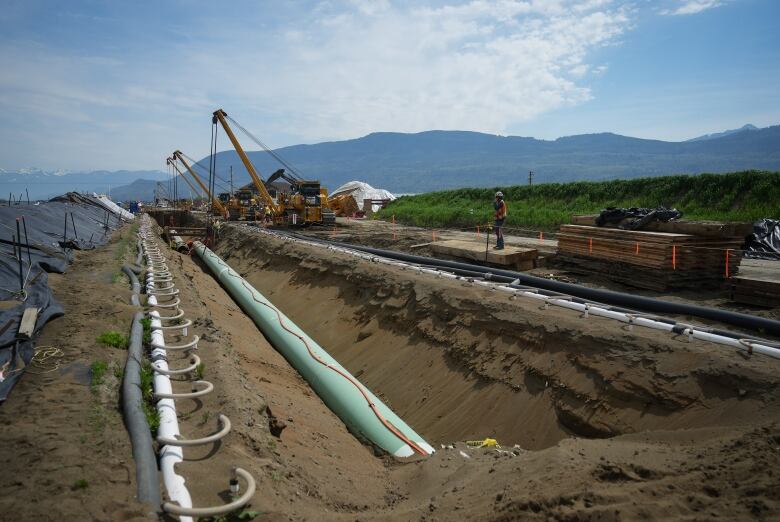 A wide shot of a pipeline in a trench with heavy cranes above and beside it leading toward distant mountains under a pale blue sky streaked with clouds.