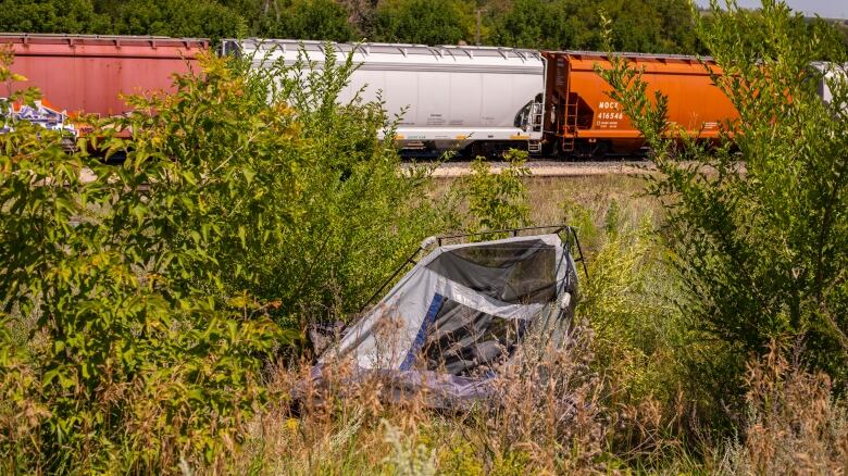 A destroyed tent sits in bushes.