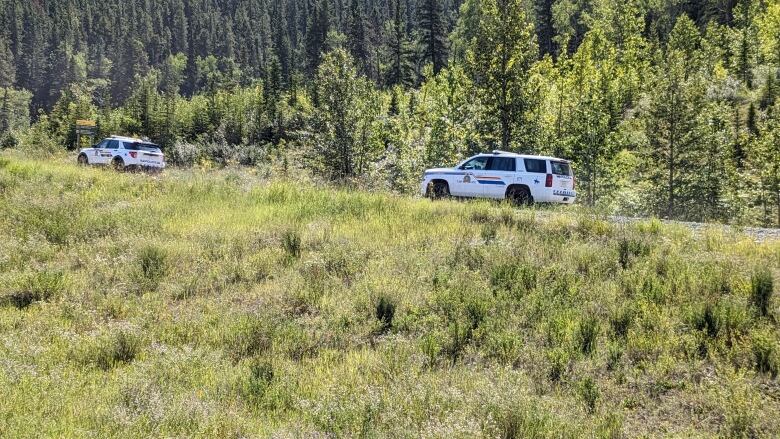 RCMP officials on the scene of a recovery operation on July 29, 2023, following a plane crash in Kananaskis Country. 