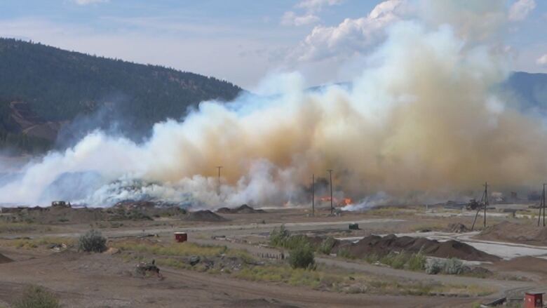 A wildfire burning with a mountain behind it.