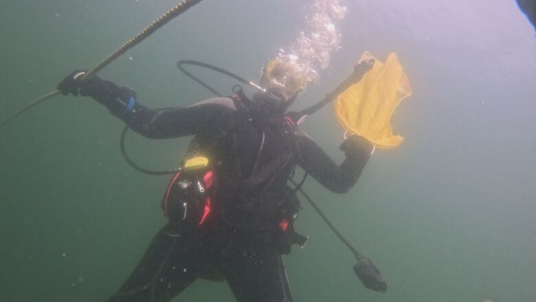 A person in scuba gear underwater holding onto a rope and a yellow mesh bag.