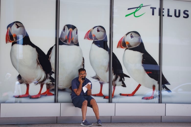 A man is shown in front of an advertisement for Telus featuring four birds.