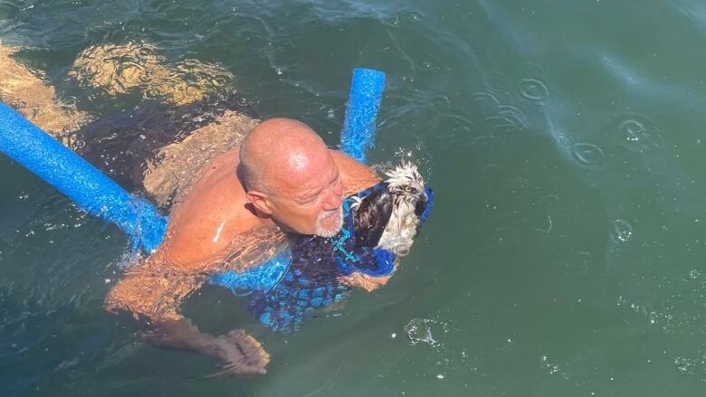 A man with swimpants is pictured swimming with a blue pool noodle while holding an osprey in water.