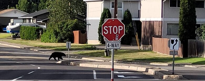 A bear crossing a road.