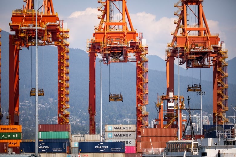 Large loading cranes with shipping containers are pictured at a port.