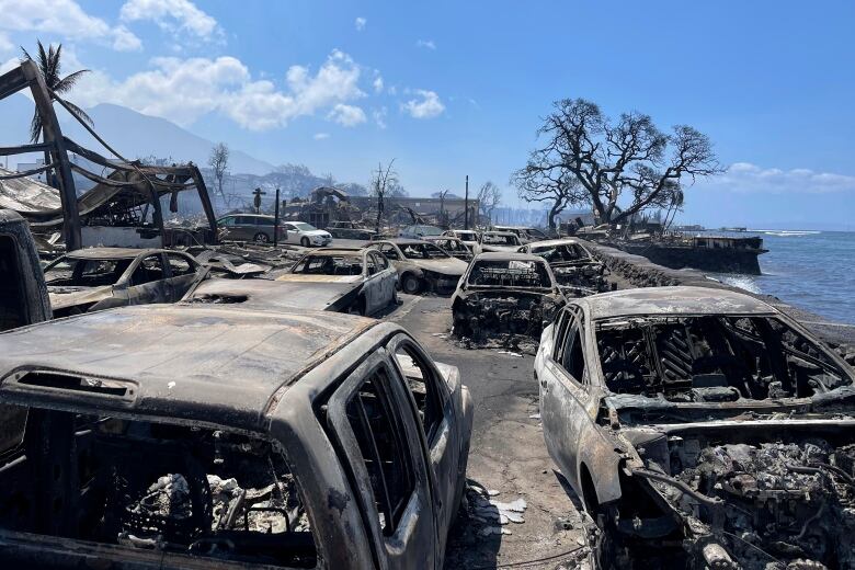 A line of burned-out cars is seen in the aftermath of a deadly wildfire in Lahaina, Maui, Hawaii.