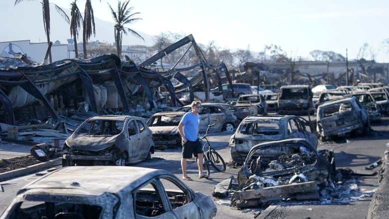 A man wearing a blue shirt walks through wildfire wreckage, surrounded by burned cars.