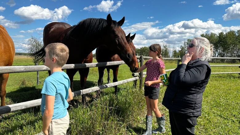 Two young children look at two brown horses over a fence outside while a woman with grey hair stands by.