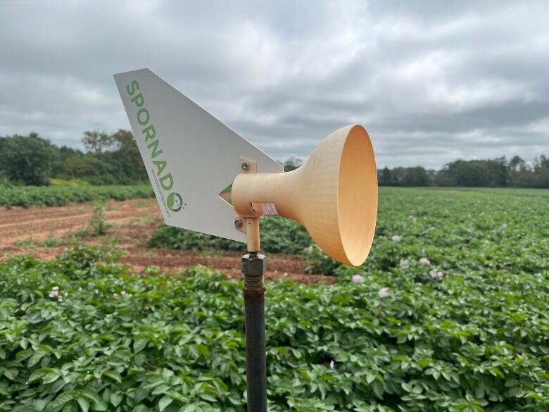 A yellow, plastic, cone-like funnel is posted in a potato field.