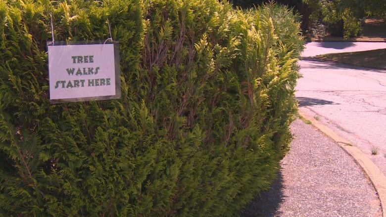 A bush with a hanging sign that says 'Tree Walks Start Here.'