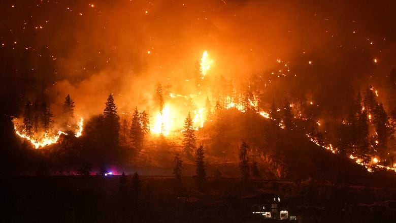 A forest fire burns at night.