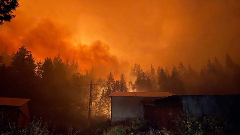 Fire engulfs a forest with a shack structure in front.