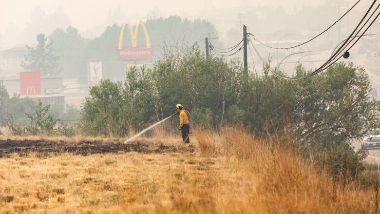 A firefighter stands in a burned field with a hose spraying the ground with water. A McDonald's sign appears in the background under smoky skies.