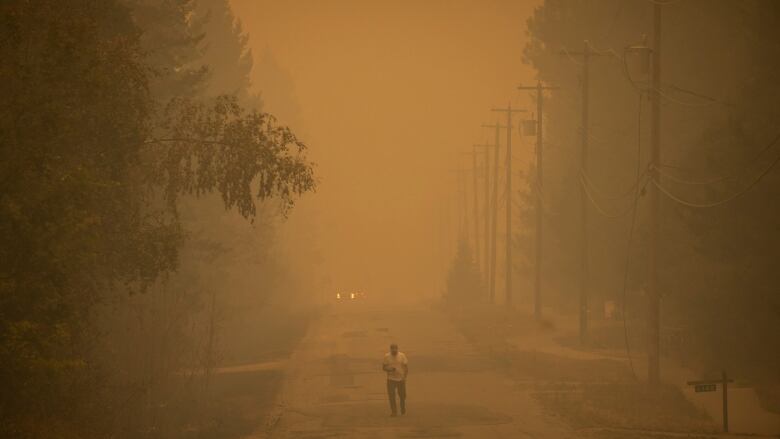 A man wearing jeans and white T-shirt walks down the road, with trees on the left and power poles on the right. The air around him is brown and thick.