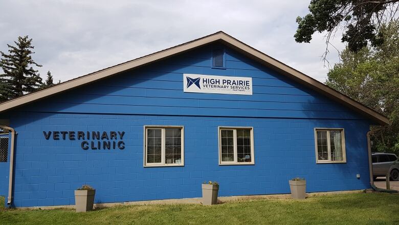 A blue building sits on green grass against a grey background.