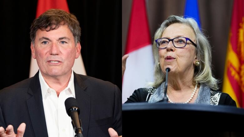 Public Safety Minister Dominic LeBlanc says the Liberal government delivered what it promised after Green Party Co-Leader Elizabeth May expressed frustration with the level of detail included in classified documents related to alleged Beijing meddling in Canadian elections.