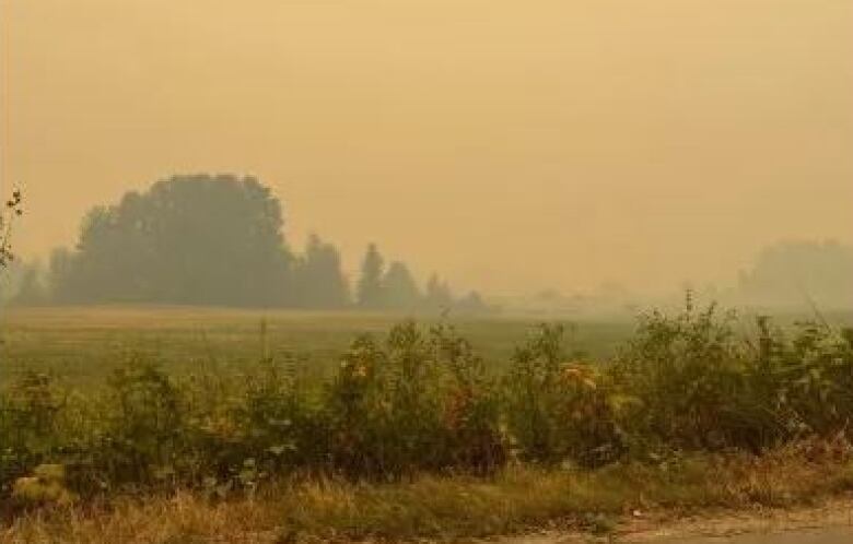 A thick layer of smoke hangs over Sorrento Centre grounds on August, 20, 2023.