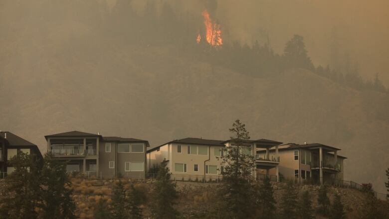 A wildfire burns on a hilltop overlooking a row of houses.