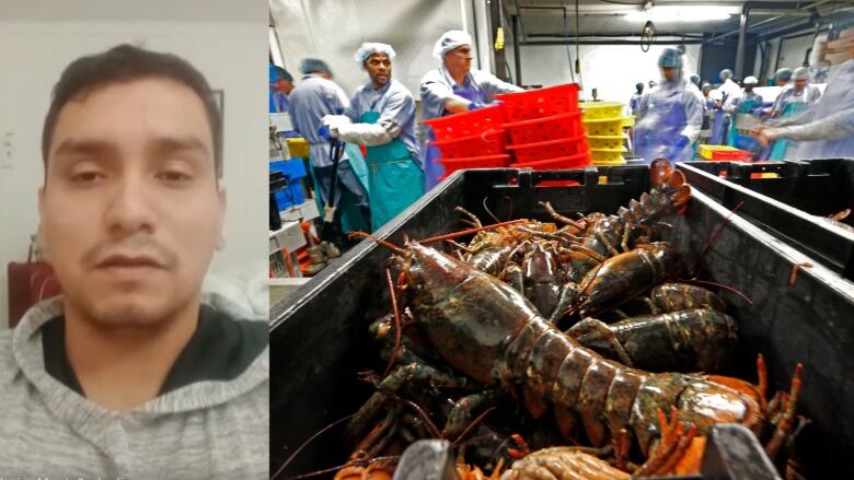 Composite image of man and lobster processing plant