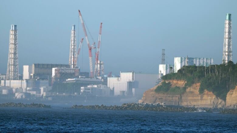 Buildings and cranes scene along a coastline.  