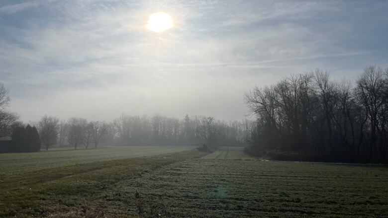 Farm fields