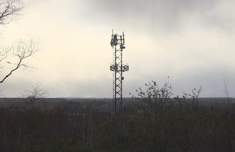 a cell tower.