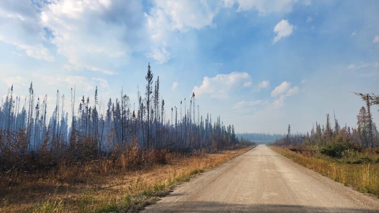 A dirt road