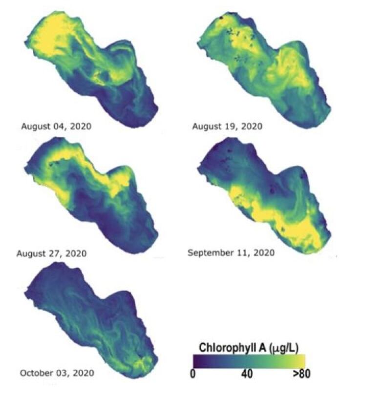 Several satellite images of a lake with differing amounts of blue and green. 