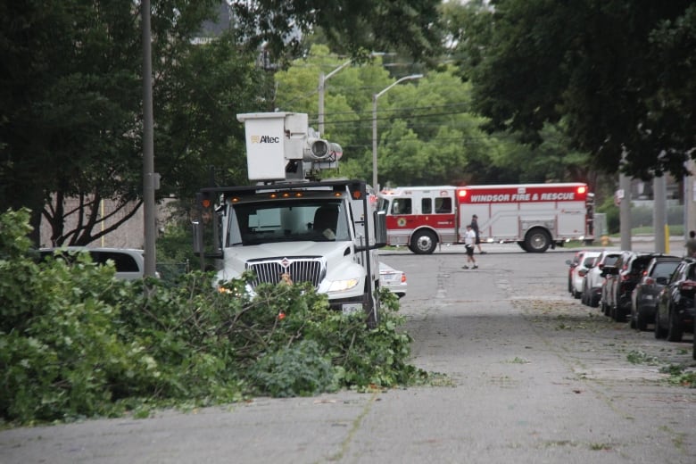 A large tree is in the road with a firetruck blocking the road. 